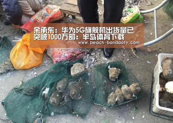 半岛体育下载